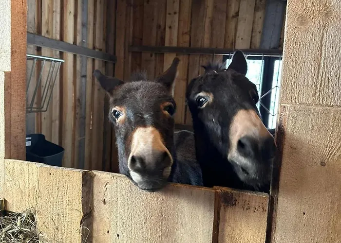 U Mańka Gospodarstwo agroturystyczne Białka Tatrzańska